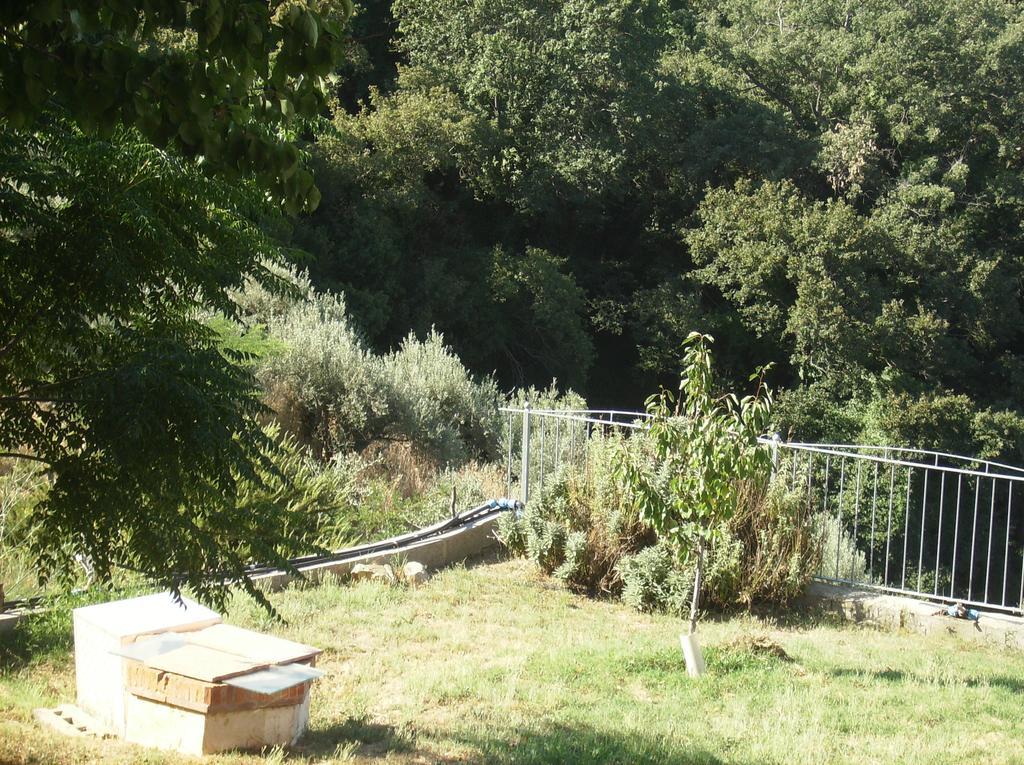 Maremma Verde Lägenhet Montorgiali Rum bild